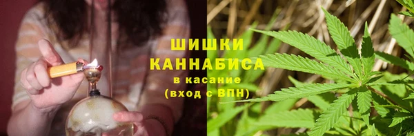 СК Новозыбков
