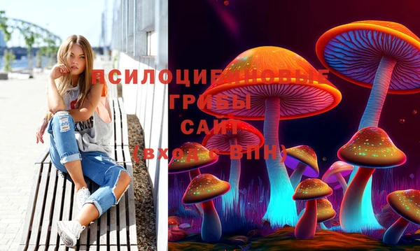 PSILOCYBIN Нягань