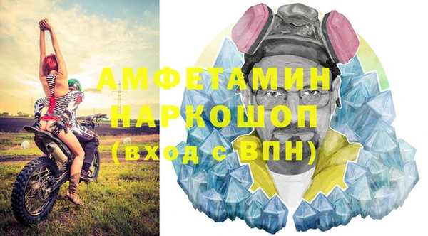 СК Новозыбков
