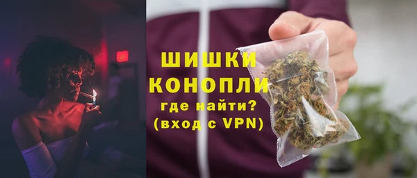 СК Новозыбков