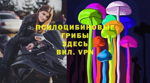 СК Новозыбков