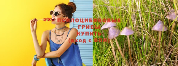 PSILOCYBIN Нягань