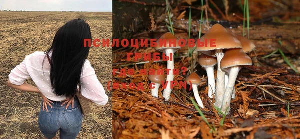jwh Новодвинск
