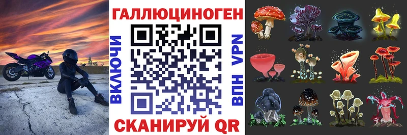 Галлюциногенные грибы GOLDEN TEACHER  гидра онион  Инсар 
